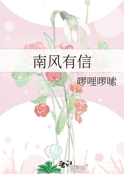 南风有信封面