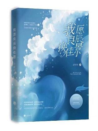 我愿良辰换佳景封面