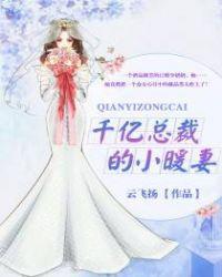 千亿总裁的小暖妻封面