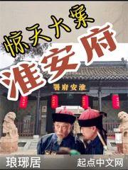 惊天大案淮安府封面