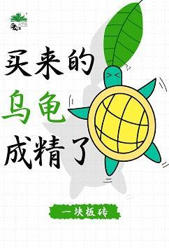 买来的乌龟成精了封面