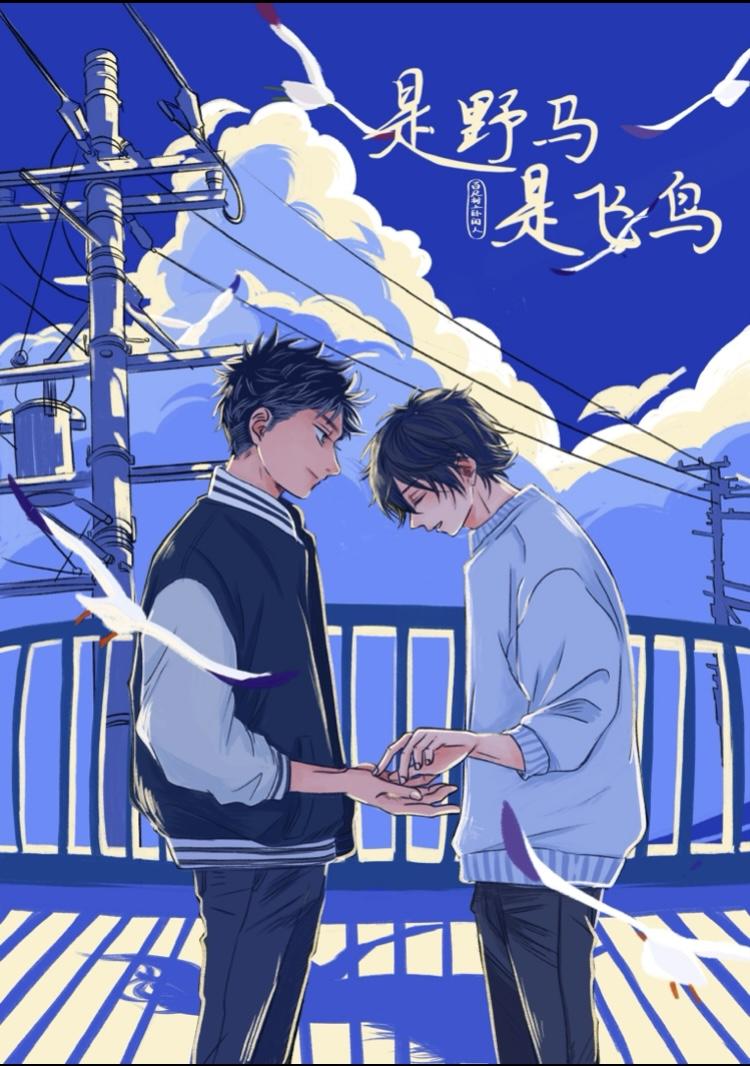 是野马，是飞鸟封面