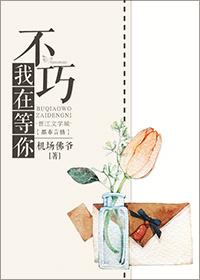 不巧，我在等你封面