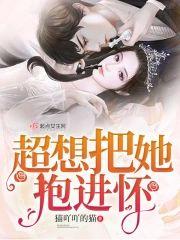超想把她抱进怀封面