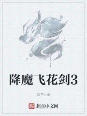 降魔飞花剑3封面