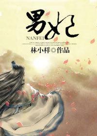 男妃封面