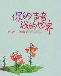 相遇终有时封面