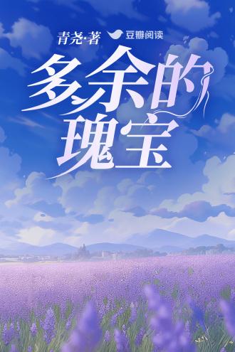 多余的瑰宝封面