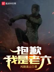 抱歉，我是老六封面