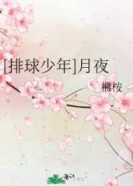 [排球少年]月夜封面
