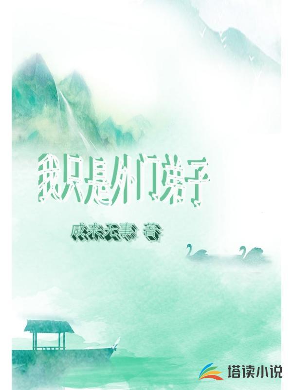 我只是外门弟子封面
