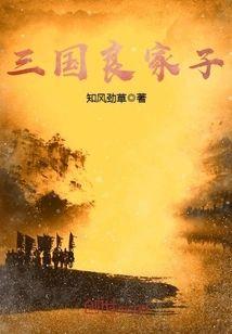 三国良家子封面