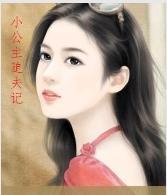 小公主追夫记封面