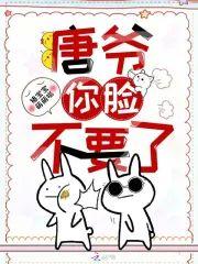 唐爷你脸不要了封面