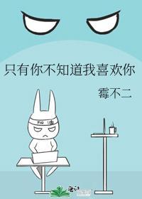 只有你不知道我喜欢你封面
