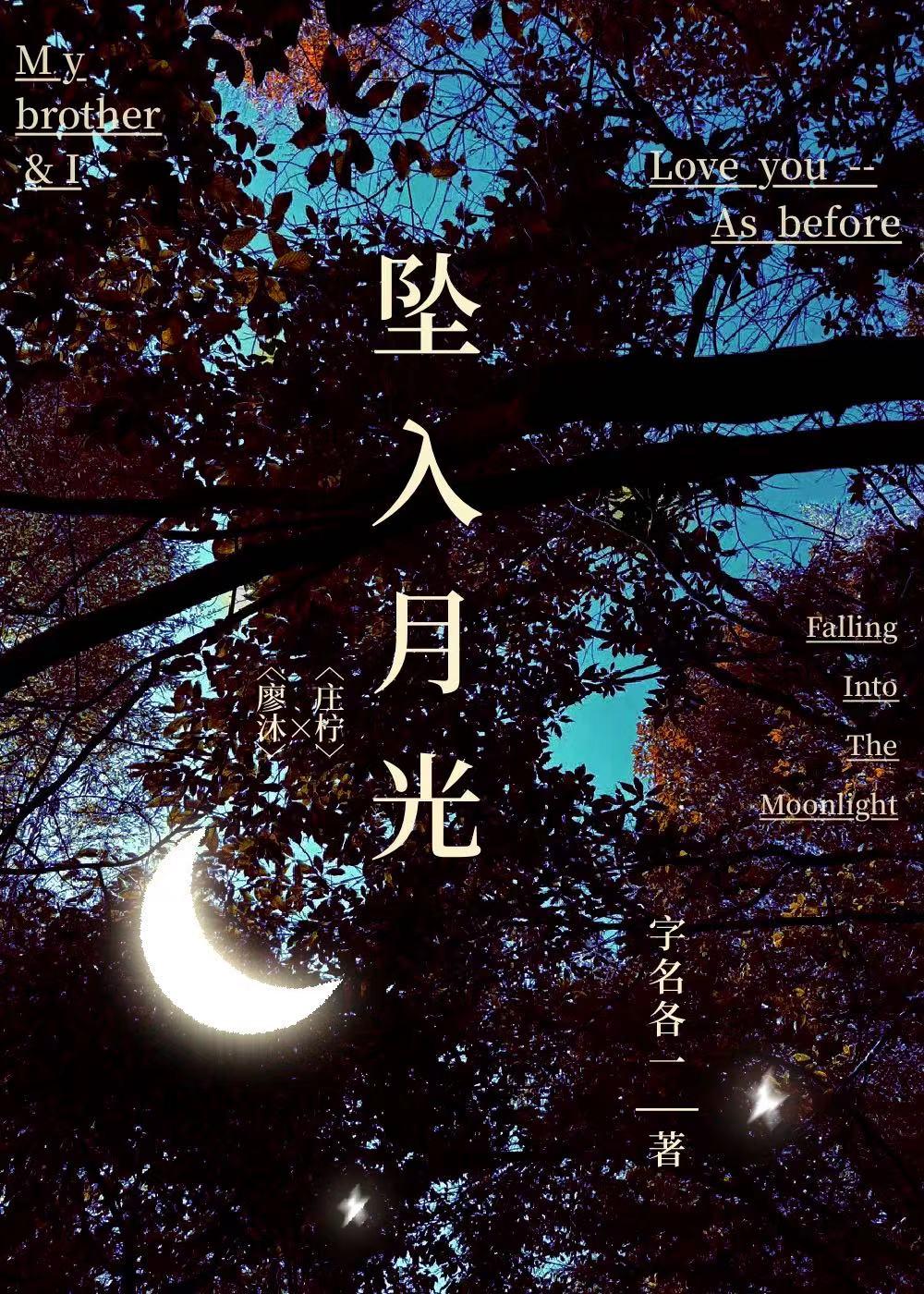 坠入月光封面