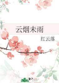 云烟未雨封面