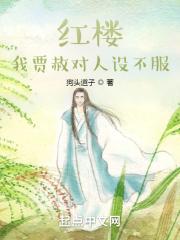 红楼：忠孝两全贾恩候封面