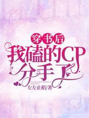 穿书后我磕的CP分手了封面