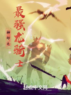 神印之最强龙骑士封面