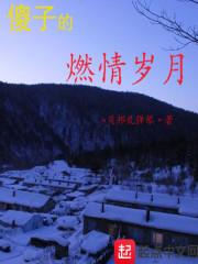 傻子的燃情岁月封面