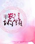 农门坏丫头封面