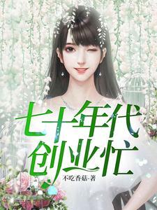 七十年代创业忙封面