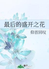 最后盛开的花封面