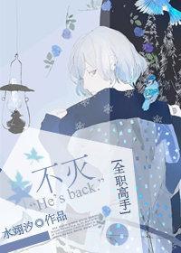 [全职高手]不灭封面