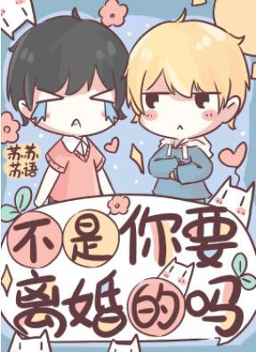 不是你要离婚的吗封面