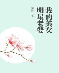 我的美女明星老婆封面