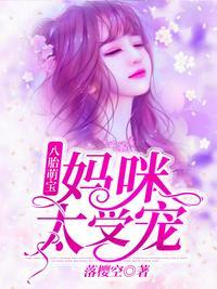 夏珠八胞胎封面