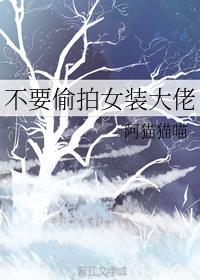 不要偷拍女装大佬封面