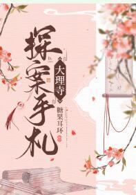 大理寺探案手札封面