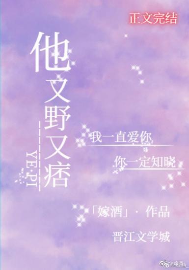 他又野又痞封面