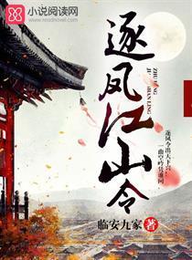 逐凤江山令封面