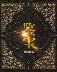 鉴宝封面