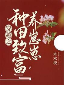 穿越之种田致富养崽崽封面