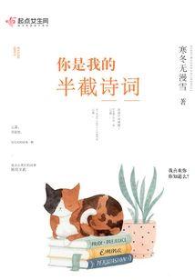 你是我的半截诗词封面