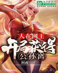 人在网王，开局获得公孙离封面