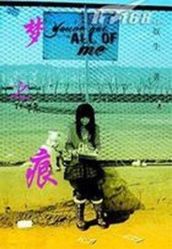梦之痕封面