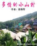 多情的小山村封面