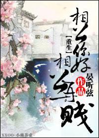 相公你好，相公再贱封面
