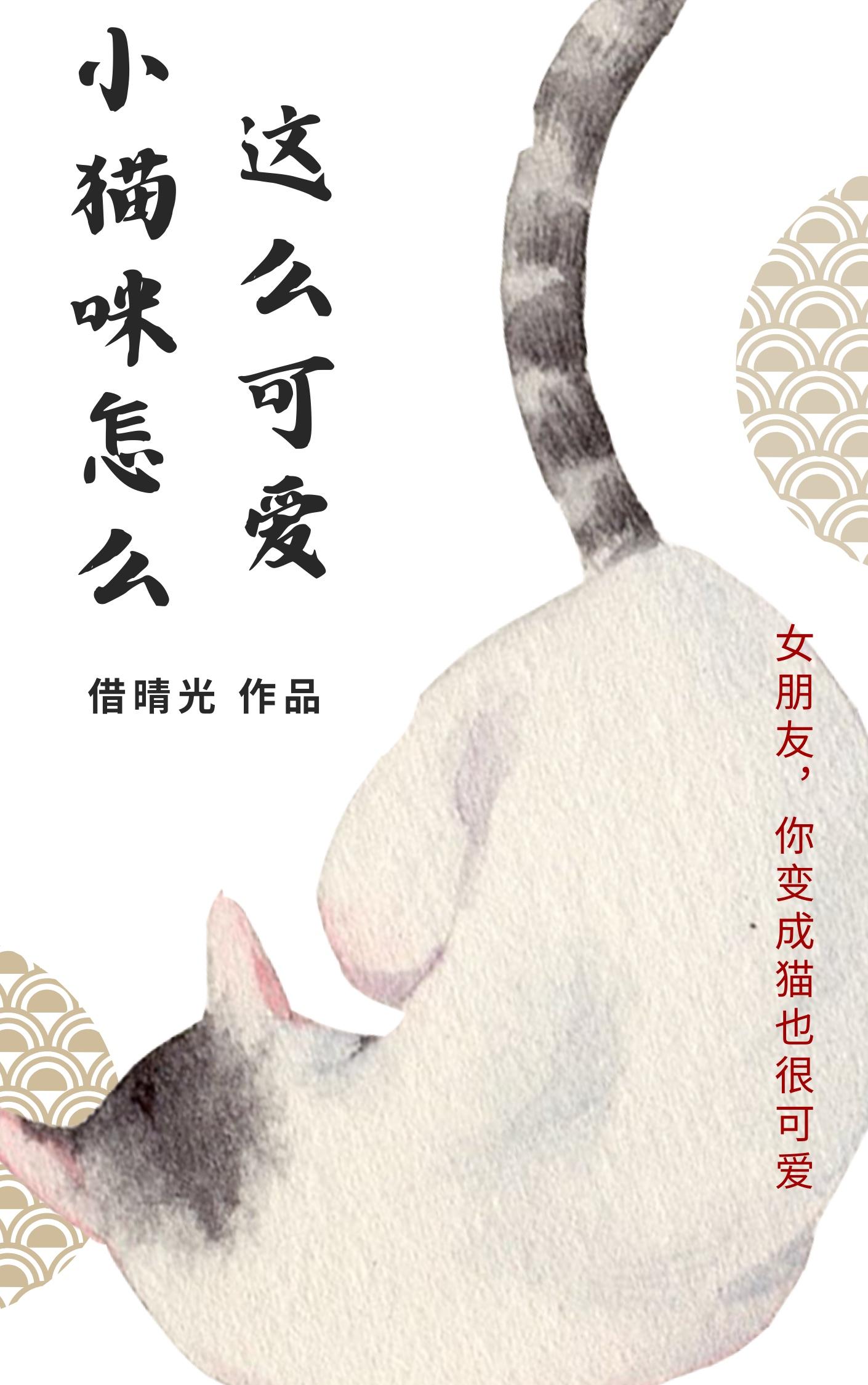 小猫咪怎么这么可爱！封面