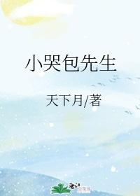 小哭包先生封面