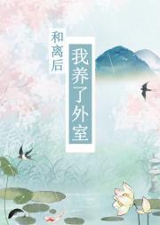 和离后她养了外室封面