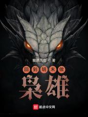 回到明末做枭雄封面