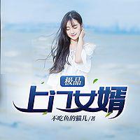 极品上门赘婿秦浩封面