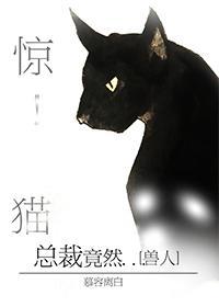 惊！野猫总裁竟然...封面