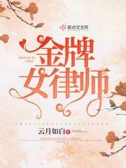 金牌女律师封面
